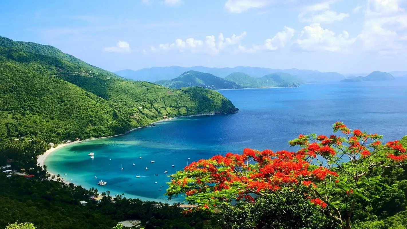 高质量科技高效
